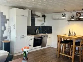 Ferienhaus Luunsche Landpause