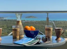 Villa vue sur mer à 180, baie de St Cyprien, pas de vis à vis