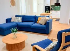 Le salon des voyageurs - Appartement au coeur du Centre Historique de Dole avec Terrasse