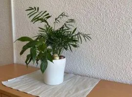 Apartman Draskovic