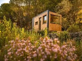 Homnest - Melodie Provencale - en Sainte-Baume