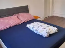 Bed & Breakfest Wohlen AG Central