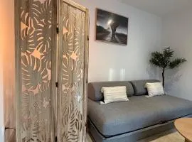 Appartement classé 4 étoiles Idéal cure thermale - Calme, confort & élégance - Contrexéville