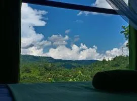 Rainforest Hide View