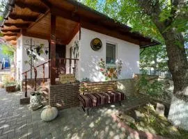 Pensiunea Beciul Vechi