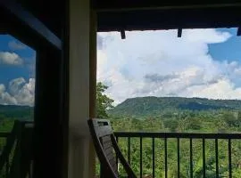Rainforest Hide View