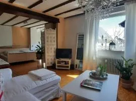 Charmante Wohnung nahe Heidelberg, Parkplatz&WLAN