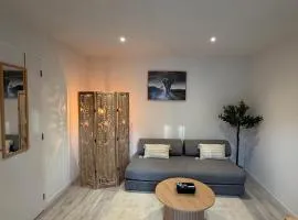 Appartement classé 4 étoiles Idéal cure thermale - Calme, confort & élégance - Contrexéville