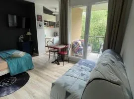 Studio T1 piscine chauffée parking gratuit les hauts dhonfleur