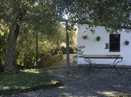 Jardín natural
