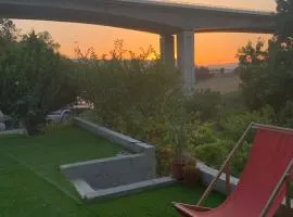 Green cabin in our small garden