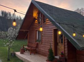 EscapeTinyCabin by IezerVenture – hotel w mieście Lereşti