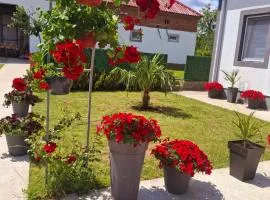 Studio Villa Ruža