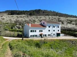 Miraculous Jungle Guest House, Quinta em atividade