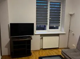 Cozy apartment in the city center