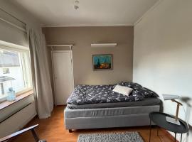 Snygg studio lägenhet Wolffskavägen 21, hotel di Vaasa