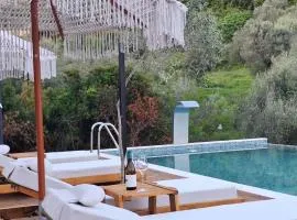 Azure Olive Collection