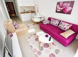 Centar Apartmani DaSu