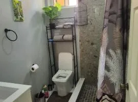 Easy stay apartment in canefield