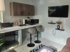 Easy Stay Apartment at Canefield