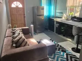 Easy Stay Apartment at Canefield