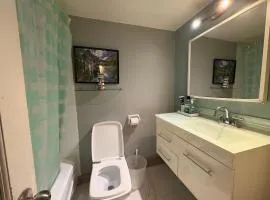 1 bed in DT Montreal, 5 min to bell center