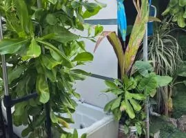 fehivilla resistance