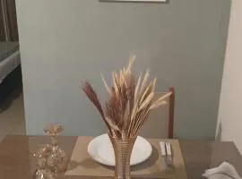 Studio Premium Trianon Centro