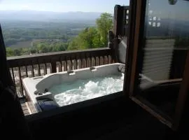 Weinberg-Panoramaferienhaus