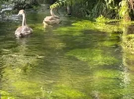 Gîte pieds dans l Epte 2