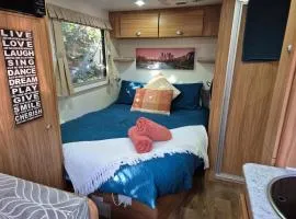 A Tiny Home Experience in a great spot