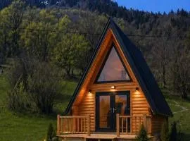 Zen Mont Chalet - Tara