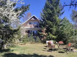 Widny Jaś zaprasza z psem nad jezioro na Kaszuby