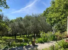 Appartamento con piscina