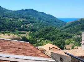 Lumira Vista – Panorama