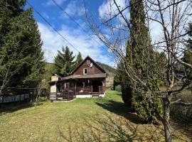 Mountain Cabin Retreat - Terrace, BBQ, Hot Tub, hotel a Lunca Bradului