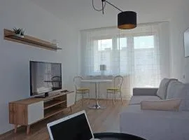 A spacious apartment for holidays and weekends