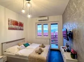 Diva Livings Golubac Terrace & Danube View Apartment