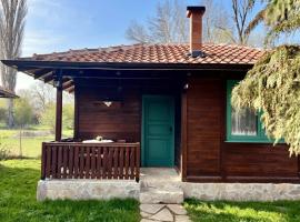 Selsko domacinstvo Nevena, hotel i Kumanovo