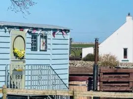 The Ketburn Shepherd's Hut