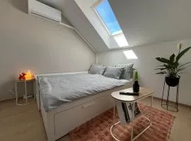 Main Square Olive Studio