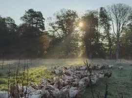 Omfaun farm stays & bed and breakfast