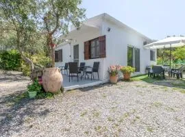 Stella's Olive Tree House