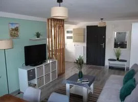 Świerkowy Zdrój Apartment