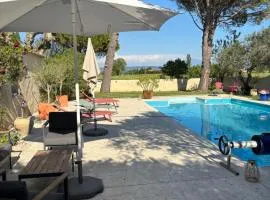 Le Mas des Vignes en Drome provençale