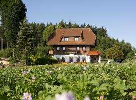 Gasthaus Schweizerhof, homestay in Titisee-Neustadt