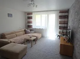 Dubysa Apartments