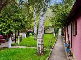 Camping Paradisul Soferilor