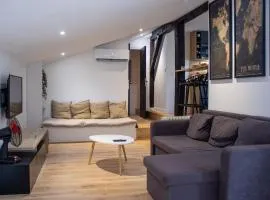 Grand appartement au cœur de Dax