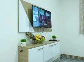 Pansion Mušinbegović